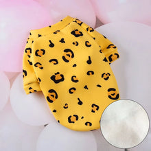 Sweet Pet Clothes - Warm Winter Hoodie Sweater for Cats Sphynx Kittens & Small Dogs