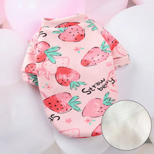 Sweet Pet Clothes - Warm Winter Hoodie Sweater for Cats Sphynx Kittens & Small Dogs