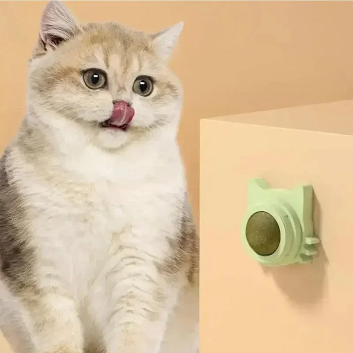 Interactive Catnip Wall Ball Toy