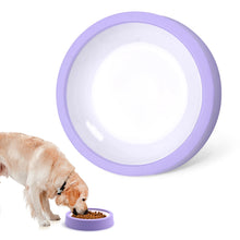 MazeMunch Non-Slip Slow Feeder Dog Bowl - Anti-Bloat Design for Healthy Eating