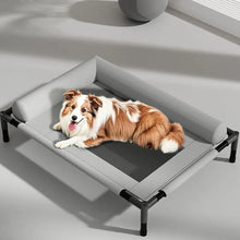 Elevated Mesh Dog Bed with Pillow – Breathable Raised Indoor & Outdoor Pet Bed