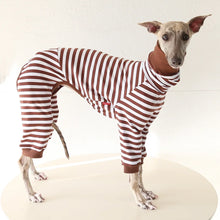 Striped Cotton Dog Pajamas - Italian Greyhound & Whippet Soft Breathable Stretch Sleepwear