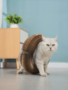 Foldable Cat Scratching Board and Cat Bed – Recyclable Cardboard Interactive Scratcher
