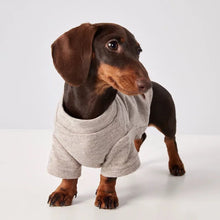 Dachshund Sweater - Soft Warm Undershirt Winter Clothing for Small Dogs & Cats
