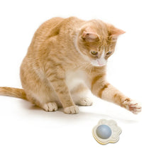 Cat Cleaning Toy with Cover Catnip Balls Toy Multifunctional Pet Health Supplies