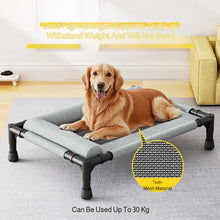 Elevated Pet Bed – Breathable Raised Mesh Bed with Pillow for Medium & Large Dogs and Cats
