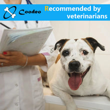 Dog Back Brace - Adjustable Spine Support Harness - Post Surgery Recovery Aid - Back Protection
