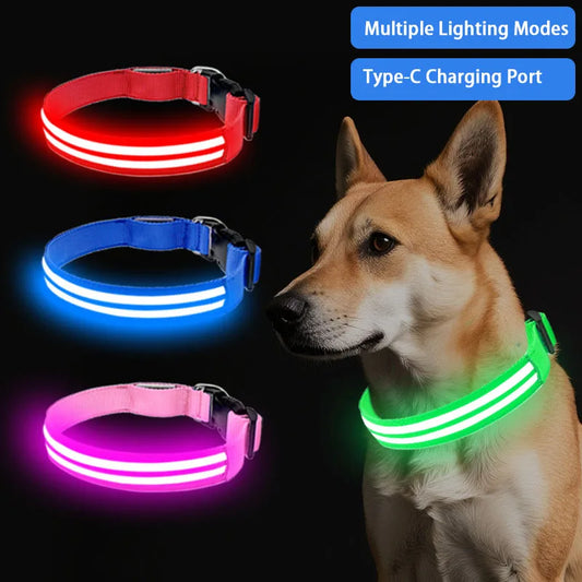 LED Hundehalsband wiederaufladbar – Leuchthalsband für Hunde mit USB und hoher Sichtbarkeit