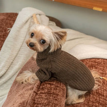 Solid Color Dog Sweater - Warm Pullover Clothes for Small Medium Dogs & Cats