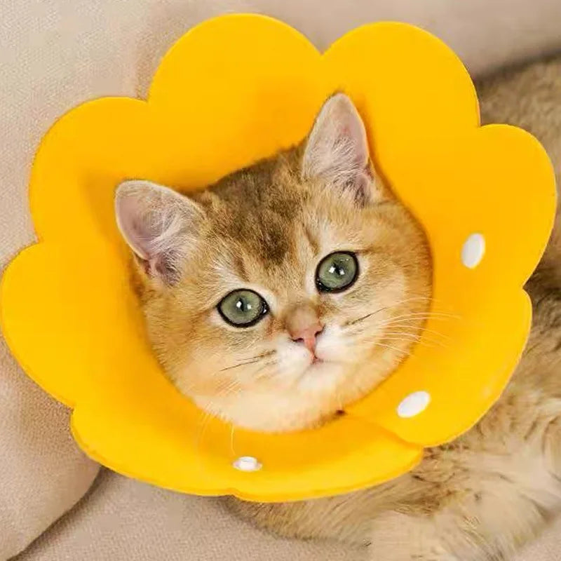Pet Recovery Cone Collar for Dogs And Cats Anti-Bite Lick Surgical Wound Healing Neck Protector Health Medical Pet Protective Ge