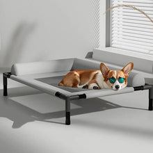 Elevated Mesh Dog Bed with Pillow – Breathable Raised Indoor & Outdoor Pet Bed
