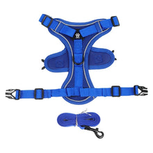 No Pull Reflective Dog Harness and Leash Set for Small Dogs and Cats