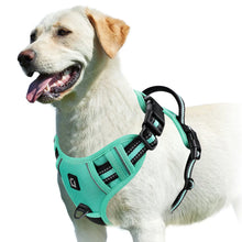 Empower your dog's inner explorer and reclaim your daily walks with a tactical, no-pull sanctuary built for ultimate safety and seamless control.