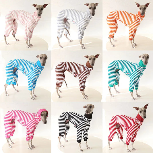 Striped Cotton Dog Pajamas for Italian Greyhounds & Whippets