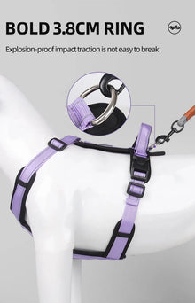 Pet Harness With Leash Vest For Dogs