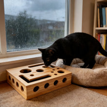 FrostPaw Maze™ Cat Enrichment Box