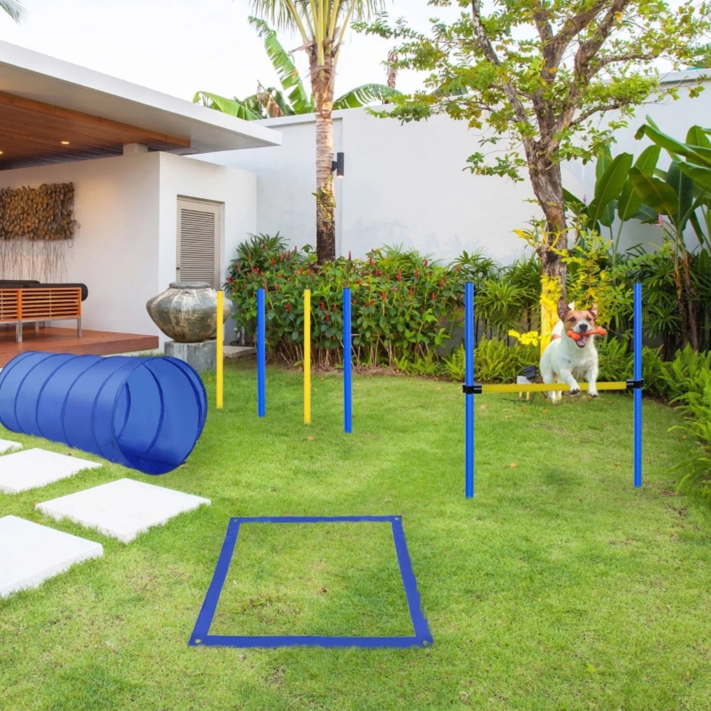 Pet Agility Training Equipment Dog Play Run Jump Obedience Training Set Adjustable (Poles + Hurdle + Tunnel + Pause Box)
