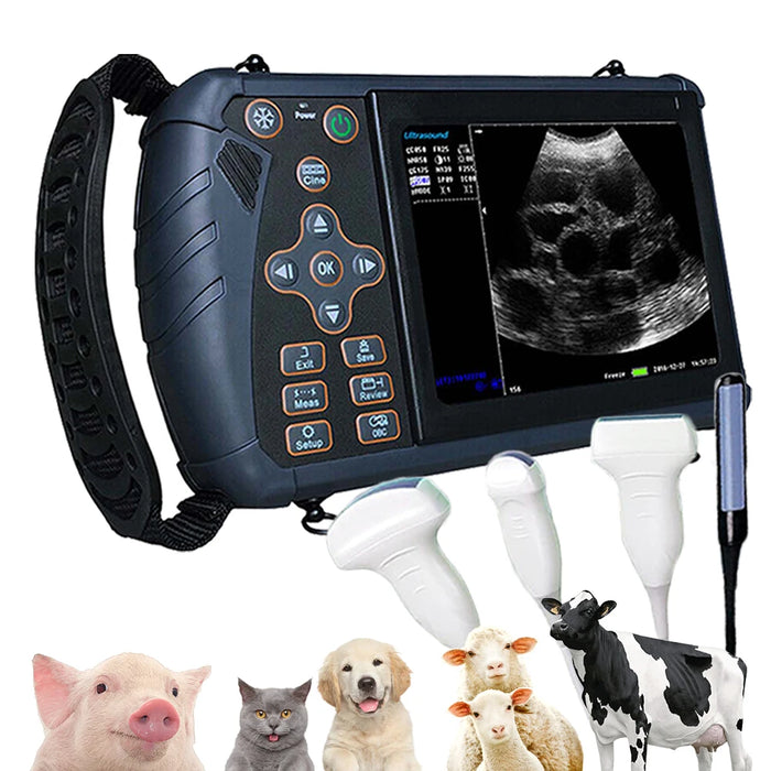 Tragbares Veterinär-Ultraschallgerät für Hunde, Pferde & Nutztiere