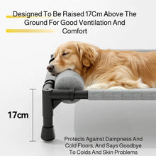 Elevated Pet Bed – Breathable Raised Mesh Bed with Pillow for Medium & Large Dogs and Cats