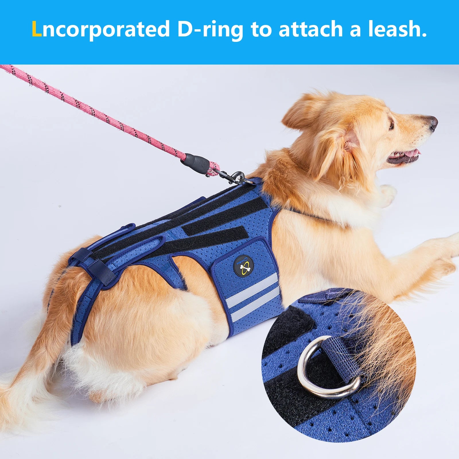 Dog Back Brace - Adjustable Spine Support Harness - Post Surgery Recovery Aid - Back Protection