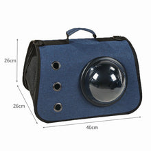 Airline Approved Cat Carrier Comfortable Pet Travel Carrier Shoulder Bag Handbag for Cats Small Dogs Under 13LBS cat litter box