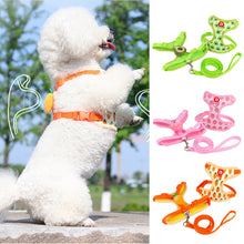 Cute Fruit Pet Harness & Leash Set - Soft Breathable Puppy Kitten Walking Gear - Summer