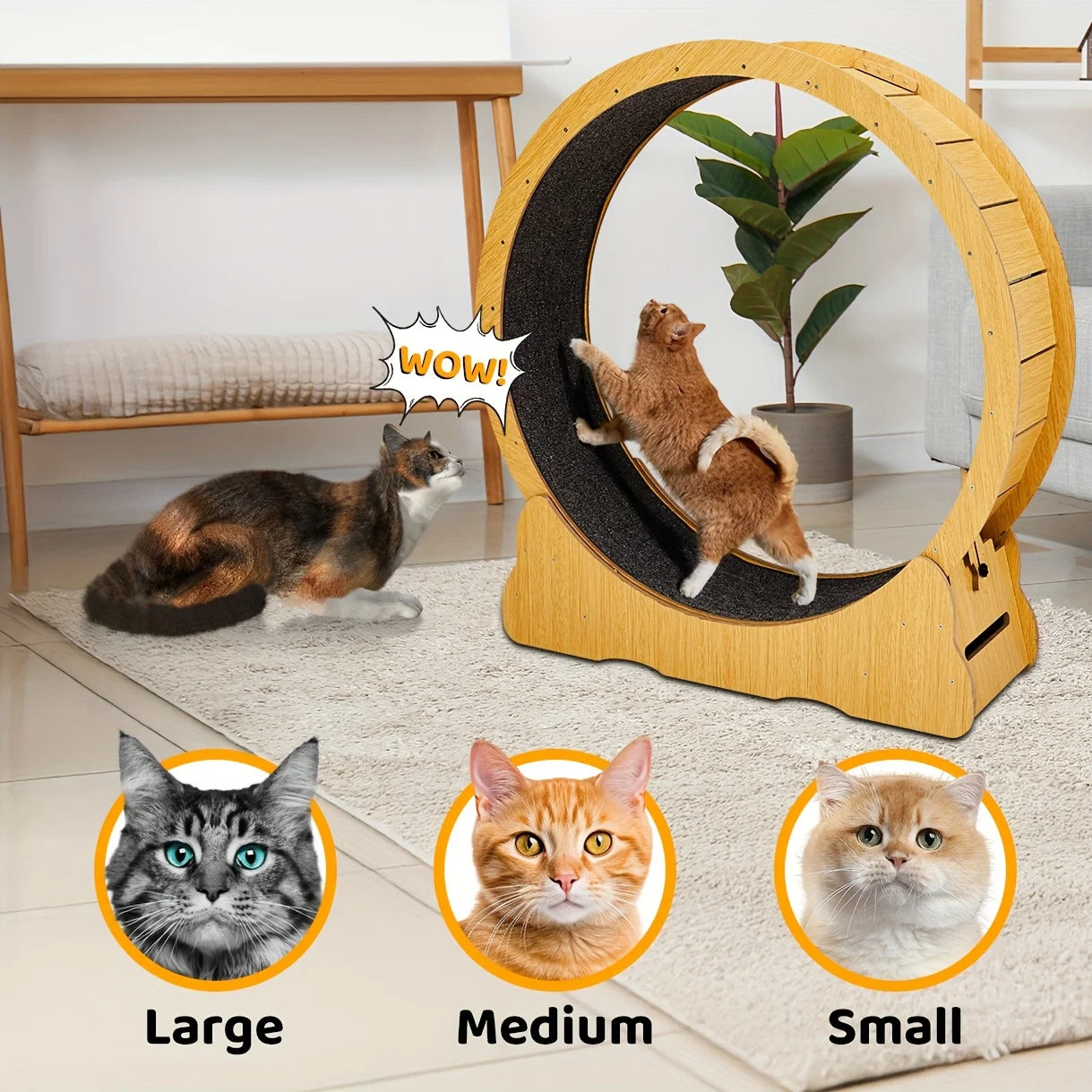 Indoor Cat Exercise Wheel with Silent Spinning Motion & Safety Lock - Large Cat Treadmill for Fitness, 110x34.5x116cm, Durable