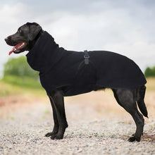 Windproof Winter Dog Coat - Warm Protective Jacket for Cold Weather Outdoor Dogs
