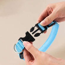 LED Light Dog Collar - USB Rechargeable Flashing Pet Safety Harness - Adjustable Small Large Dogs