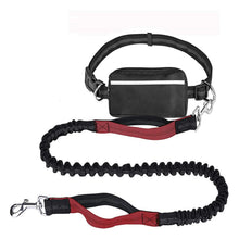 Freihändige Hundeleine mit Hüftgurt und Reißverschlusstasche – Hands-Free Hundeleine