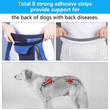 Dog Back Brace - Adjustable Spine Support Harness - Post Surgery Recovery Aid - Back Protection