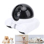 WIFI Movable Pet Webcam One Key Following Shot 2 Way Talk 1080P 2MP Double Lens APP Remote Control Camera for Home for Cats Dogs