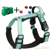 Pet Harness With Leash Vest For Dogs