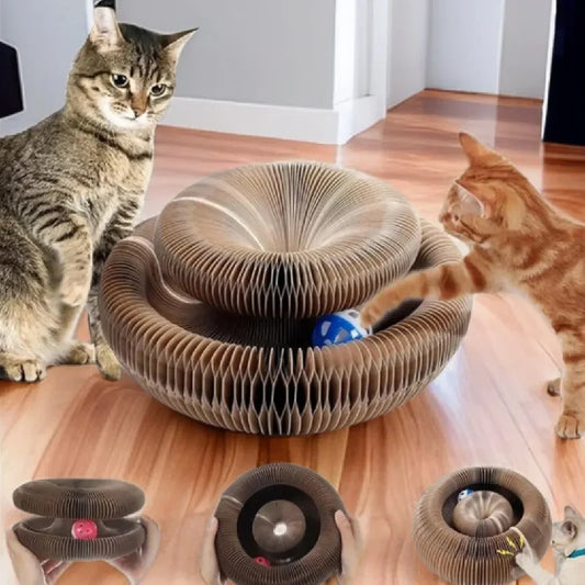 Foldable Cat Scratching Board and Cat Bed – Recyclable Cardboard Interactive Scratcher
