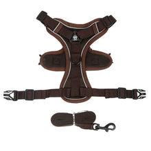 No Pull Reflective Dog Harness and Leash Set for Small Dogs and Cats