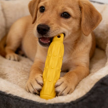 Dog Chew Toy – Indestructible EVA Bite Stick for Large & Aggressive Chewers