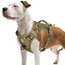 Empower your dog's inner explorer and reclaim your daily walks with a tactical, no-pull sanctuary built for ultimate safety and seamless control.