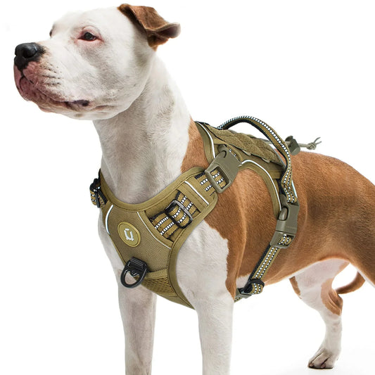 Empower your dog's inner explorer and reclaim your daily walks with a tactical, no-pull sanctuary built for ultimate safety and seamless control.