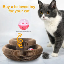 Foldable Cat Scratching Board and Cat Bed – Recyclable Cardboard Interactive Scratcher