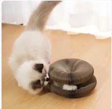 Foldable Cat Scratching Board and Cat Bed – Recyclable Cardboard Interactive Scratcher