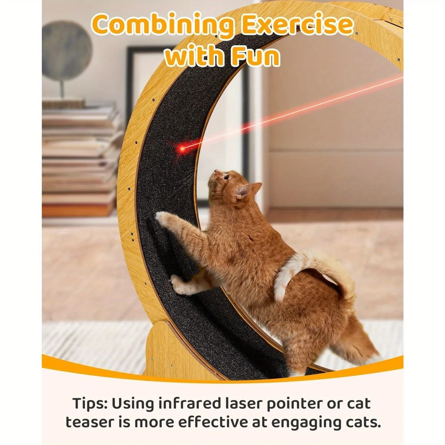 Indoor Cat Exercise Wheel with Silent Spinning Motion & Safety Lock - Large Cat Treadmill for Fitness, 110x34.5x116cm, Durable