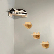 Katzen Kletterwand mit Hängematte – Wandmontierter Eck-Kratzbaum mit Stufen