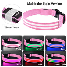 LED Hundehalsband wiederaufladbar – Leuchthalsband für Hunde mit USB und hoher Sichtbarkeit