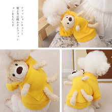 Autumn Winter Dog Sweater - Cute Bear Jersey Clothes for Small Dogs Chihuahua Yorkies