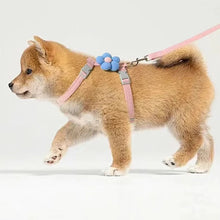 Adjustable Cat Harness & Leash Set - Breathable Small Dog Walking Strap - Pet Accessory