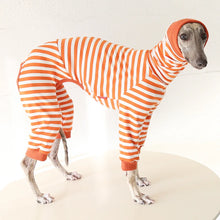 Striped Cotton Dog Pajamas - Italian Greyhound & Whippet Soft Breathable Stretch Sleepwear