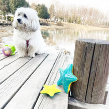 Pet dog toys can be flushed and frozen in summer, glow in the dark, float in water, and are reusable rubber pet toys
