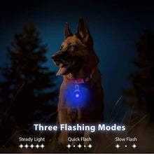 Led Dogs Collars Pendant Rechargeable Pet Usb Luminous Collar Pendant Puppy Flash Light Leash Accessorie Decoration Dog Necklace