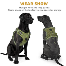 Empower your dog's inner explorer and reclaim your daily walks with a tactical, no-pull sanctuary built for ultimate safety and seamless control.