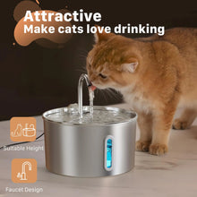Cat Water Fountain 2.2L Stainless Steel — Artesian Flow, Ultra-Quiet Pump & Filter